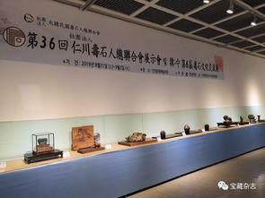 以石為媒，跨越山海 青島民間賞石藝術開啟跨國交流新篇章